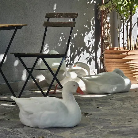 Gasthuis Essential & Parking In Centro Citta Con Parcheggio Privato E Wifi