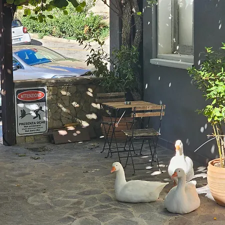 Essential & Parking In Centro Citta Con Parcheggio Privato E Wifi Gasthuis Potenza