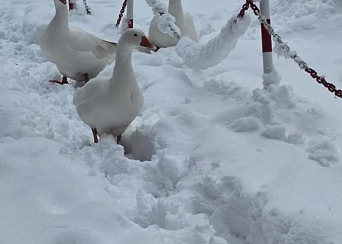 Essential & Parking In Centro Citta Con Parcheggio Privato E Wifi Gasthuis